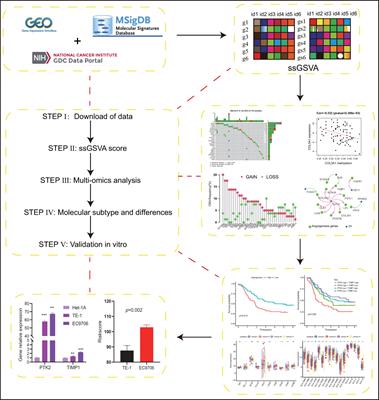 The angiogenic genes predict prognosis and immune characteristics in esophageal squamous cell carcinoma: Evidence from multi-omics and experimental verification